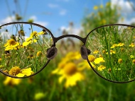 Выбор между очками и линзами